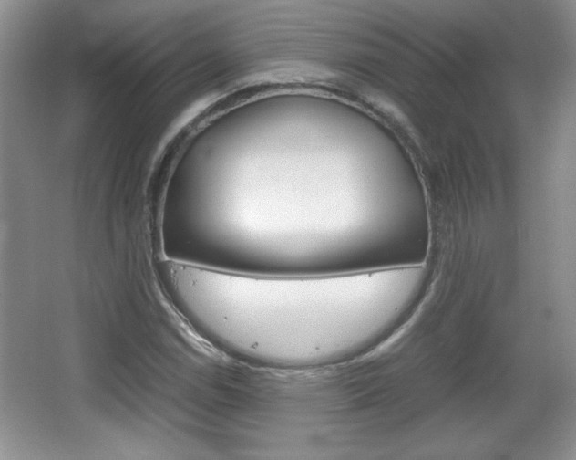 X0000067831114200604130911