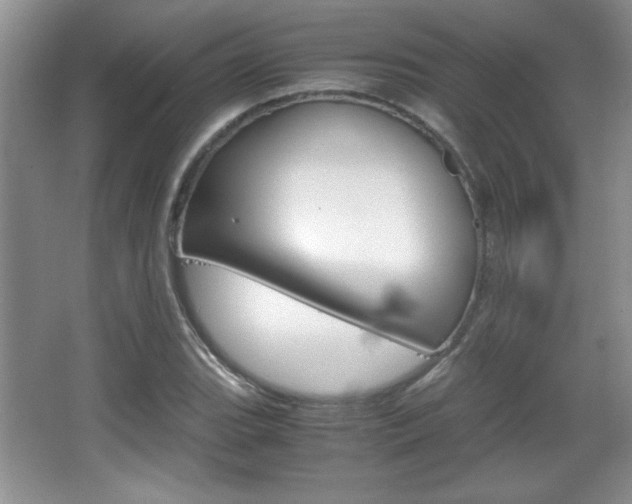 X0000067831119200604130911