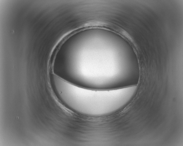 X0000067831124200604130911