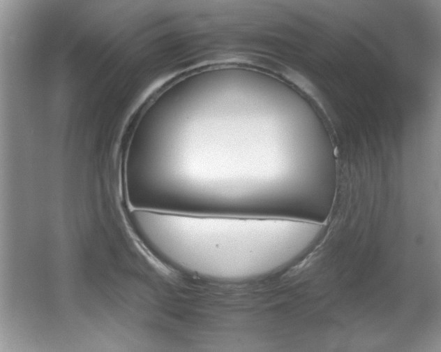 X0000067831127200604130911