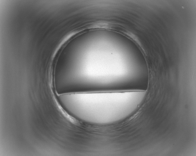 X0000067831131200604130911