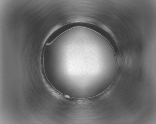 X0000067831138200604130911