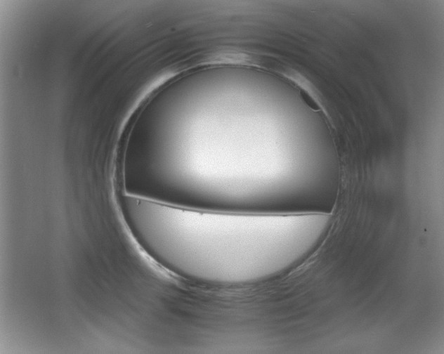 X0000067831139200604130911