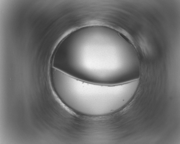 X0000067831142200604130911