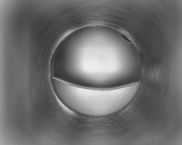 X0000067831143200604130912