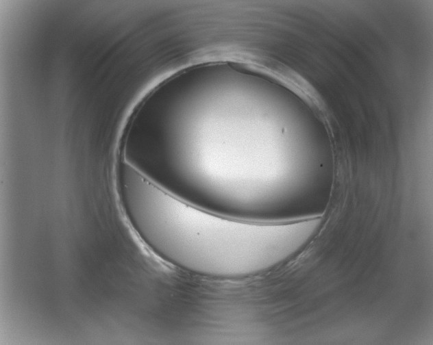 X0000067831144200604130912