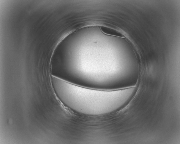 X0000067831145200604130912