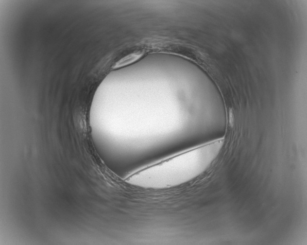 X0000067831155200604130911