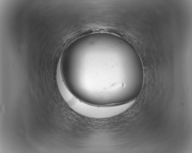 X0000067831157200604130911