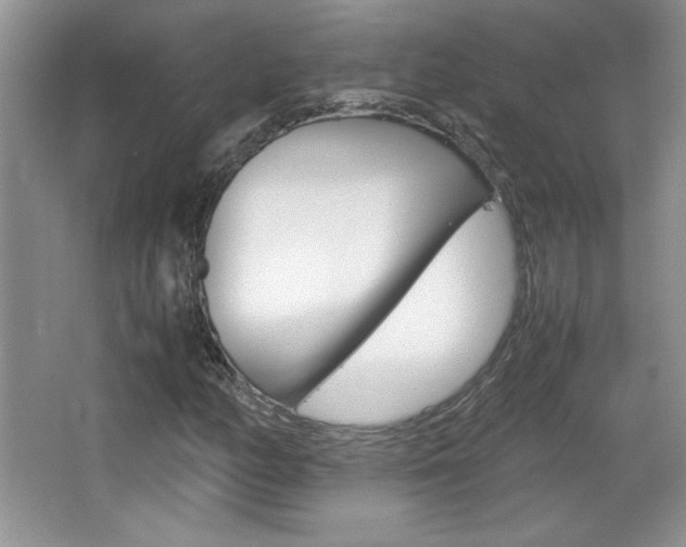 X0000067831158200604130911