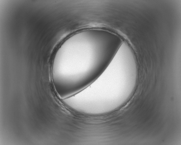 X0000067831171200604130911