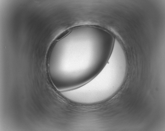 X0000067831173200604130910