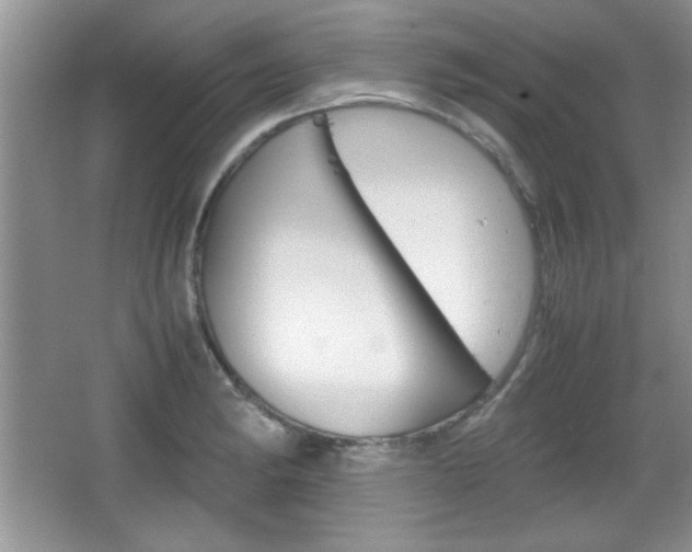 X0000067831182200604130910