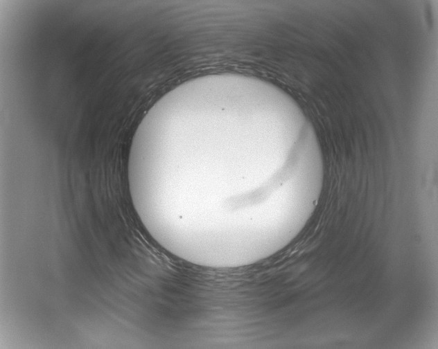 X0000067831202200604130909