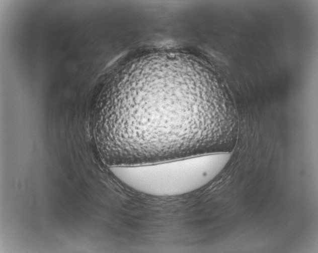 X0000067831205200604130909