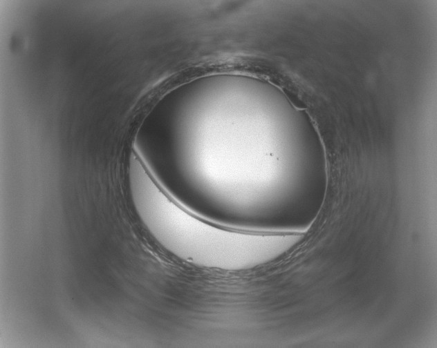 X0000067831206200604130909