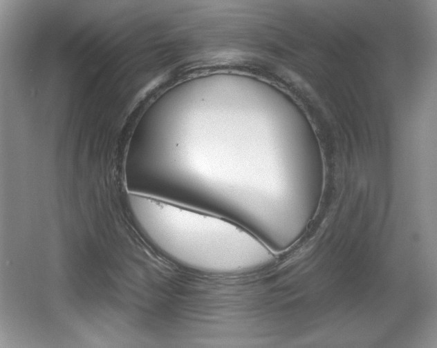 X0000067831210200604130909