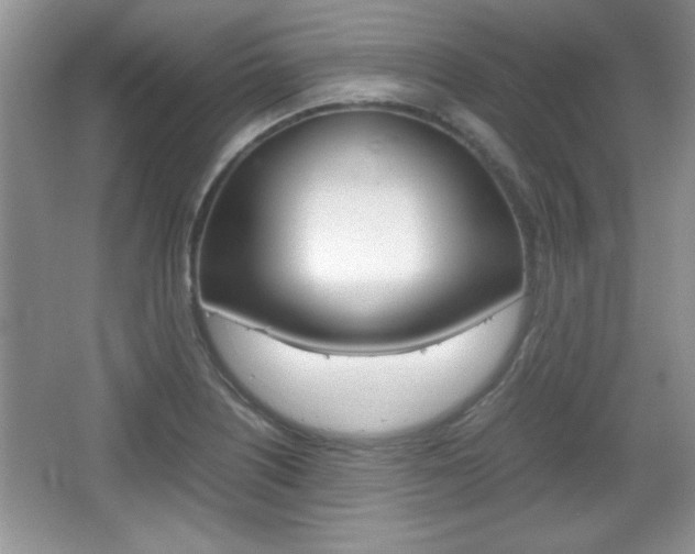 X0000067831226200604130910