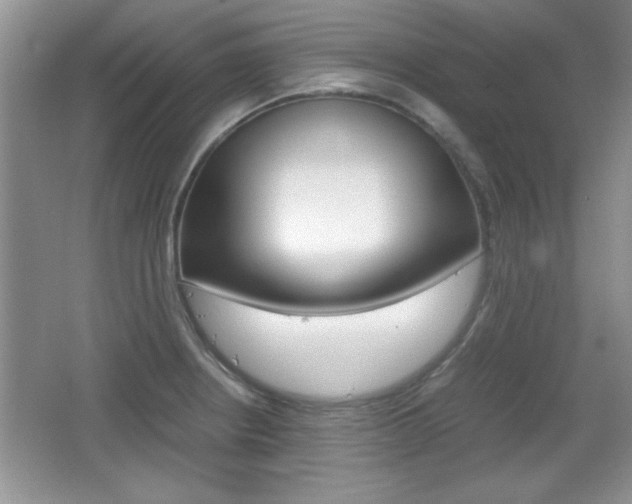 X0000067831234200604130910