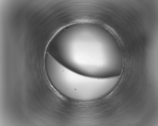 X0000067831236200604130910