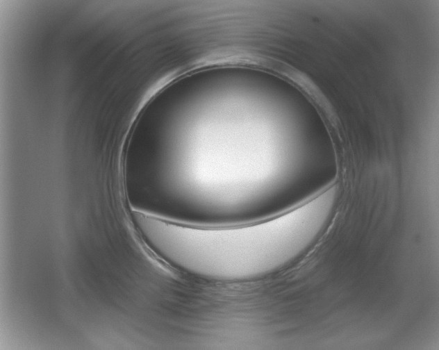 X0000067831242200604130910