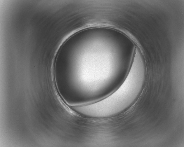 X0000067831246200604130910