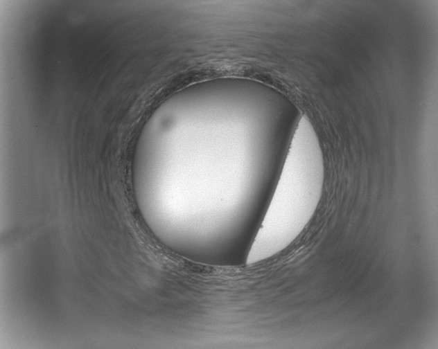 X0000067831249200604130909