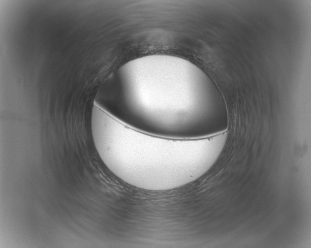 X0000067831250200604130909