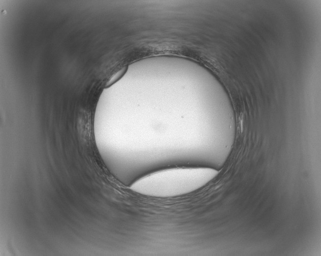 X0000067831251200604130909
