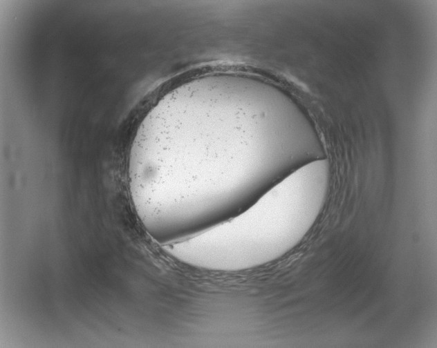 X0000067831255200604130909