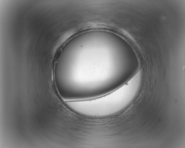 X0000067831269200604130909