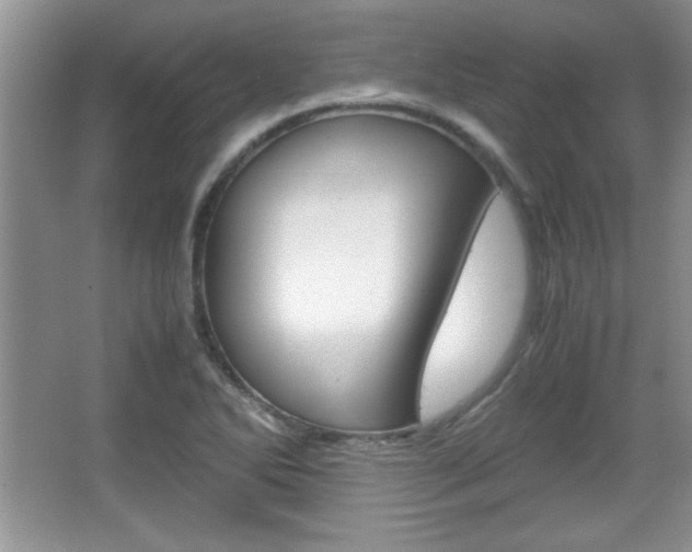 X0000067831270200604130909