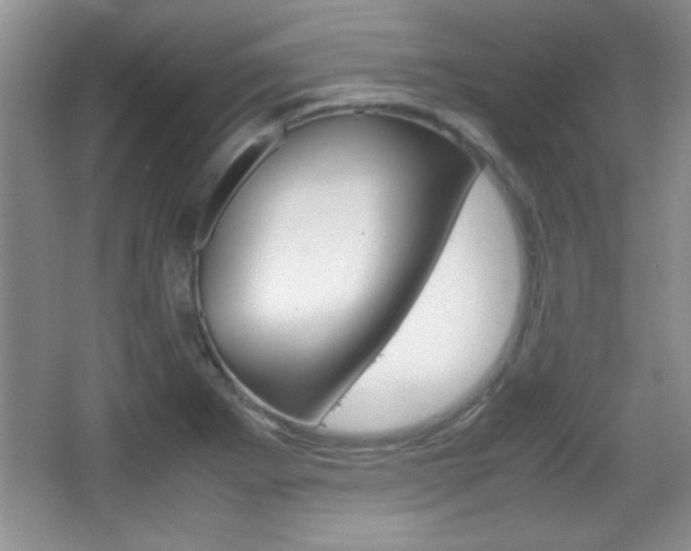X0000067831273200604130909