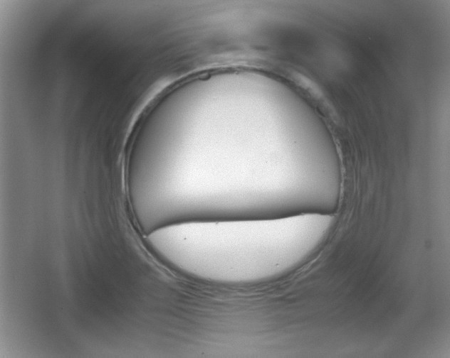 X0000067831275200604130909