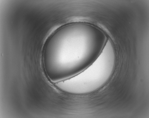 X0000067831277200604130909