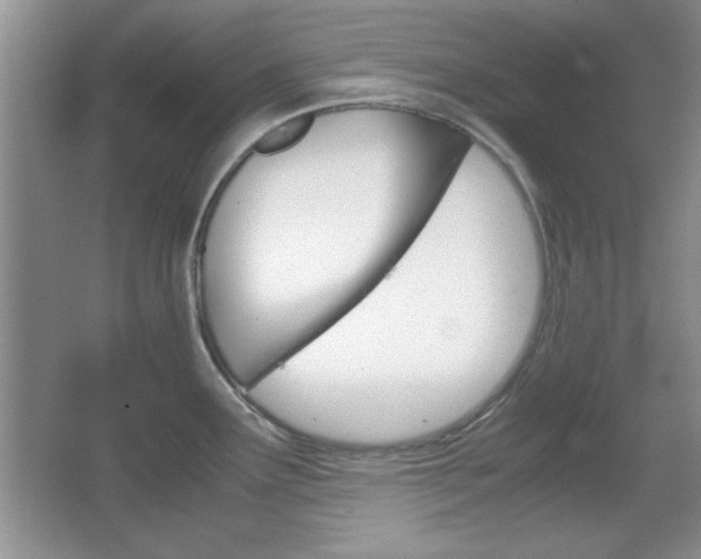 X0000067831291200604130909