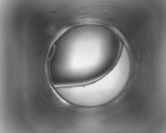 X0000067831293200604130908