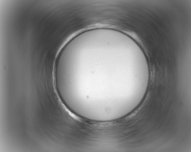X0000067831294200604130908