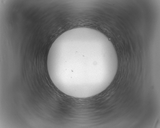 X0000067831298200604130908