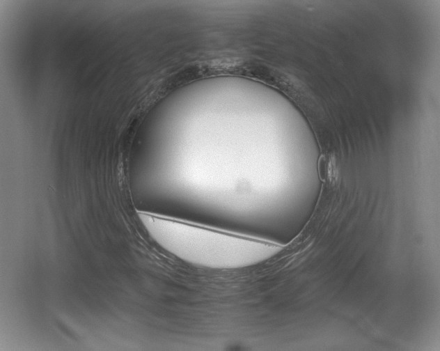 X0000067831299200604130908