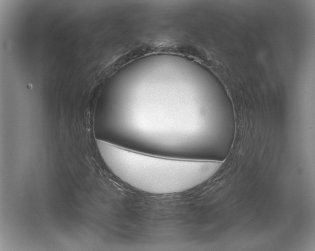 X0000067831301200604130908