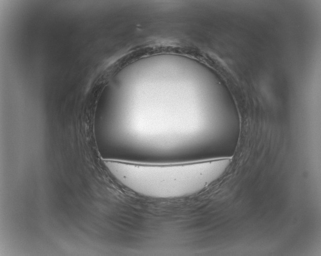 X0000067831303200604130908