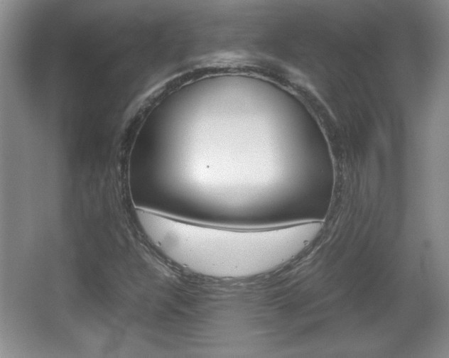 X0000067831304200604130908
