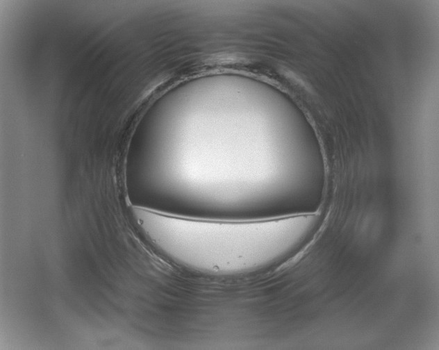 X0000067831305200604130908