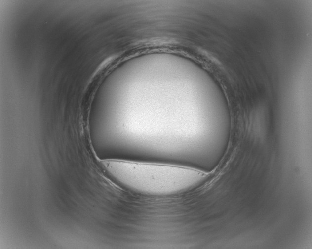 X0000067831306200604130908