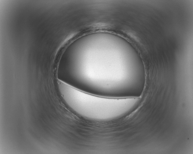 X0000067831309200604130908