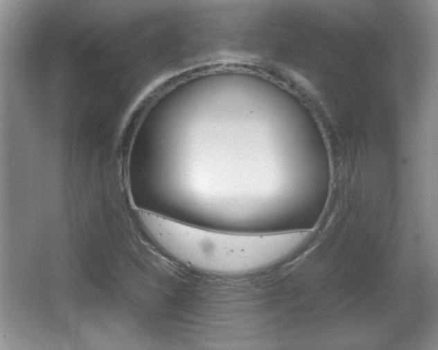 X0000067831310200604130908