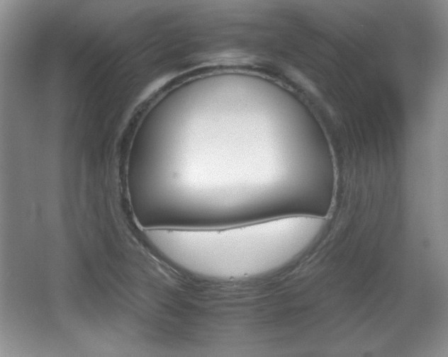 X0000067831315200604130908
