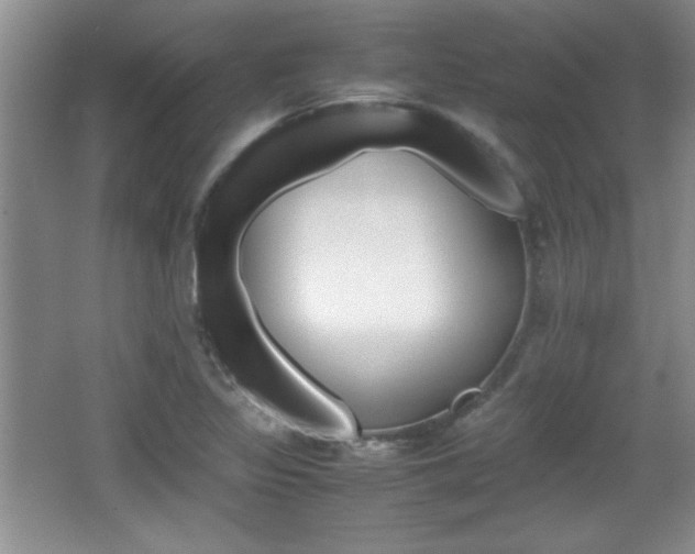 X0000067831317200604130908