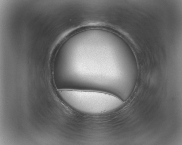 X0000067831319200604130908